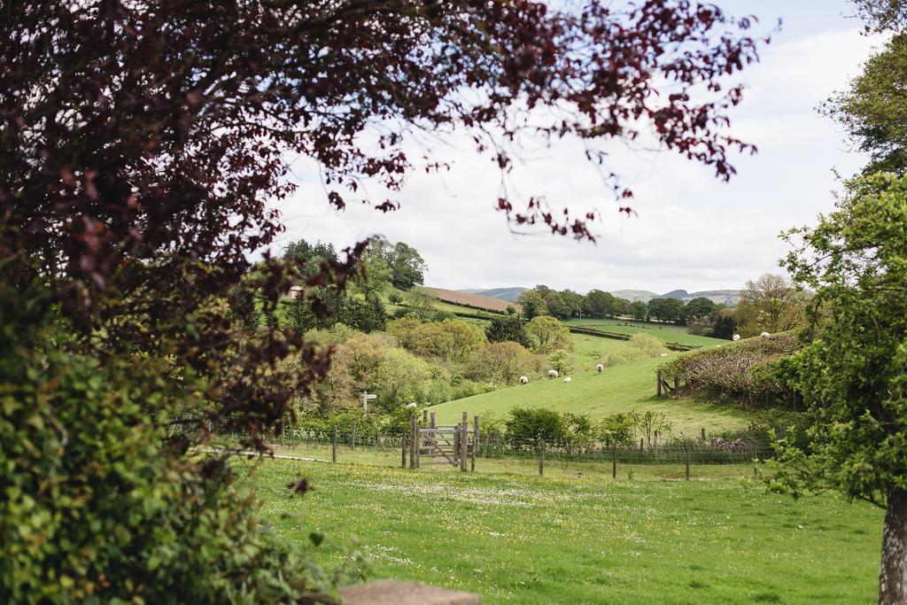 Pwllgwilym B & B Builth Wells Ngoại thất bức ảnh