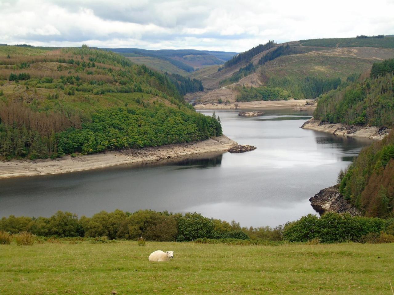 Pwllgwilym B & B Builth Wells Ngoại thất bức ảnh